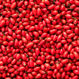 Rosehips used to make rosehip seed oil