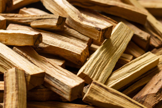 What's So Special About Palo Santo?