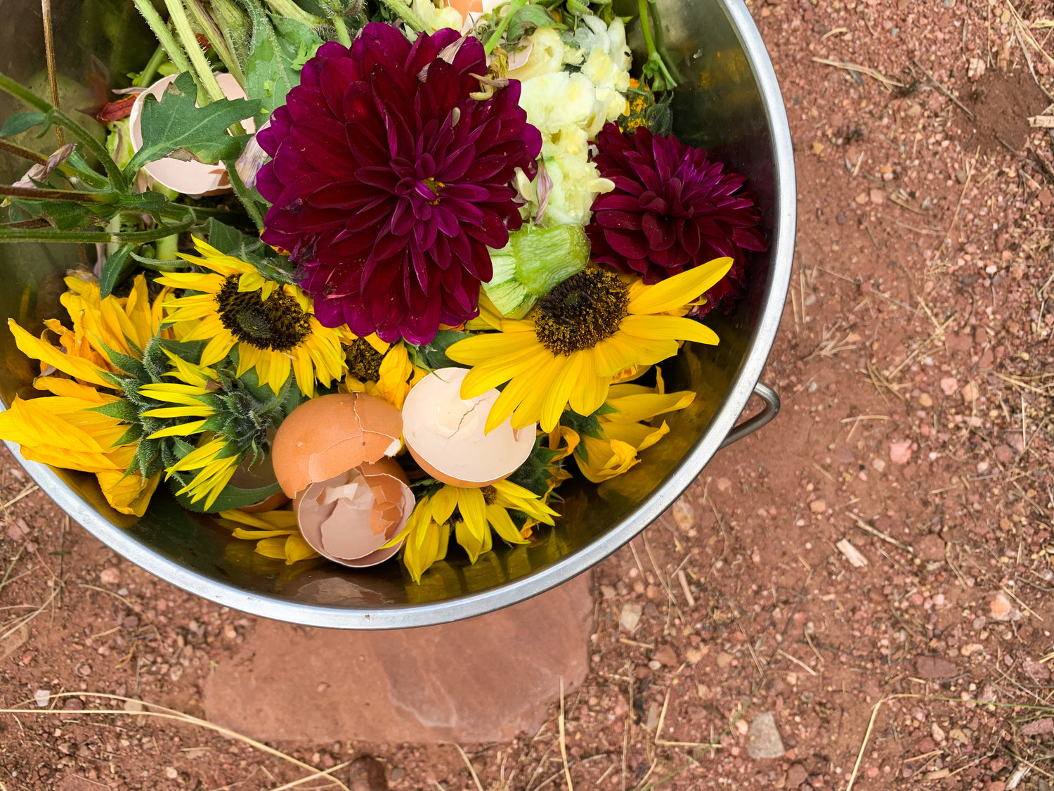 How To Start A Compost Pile