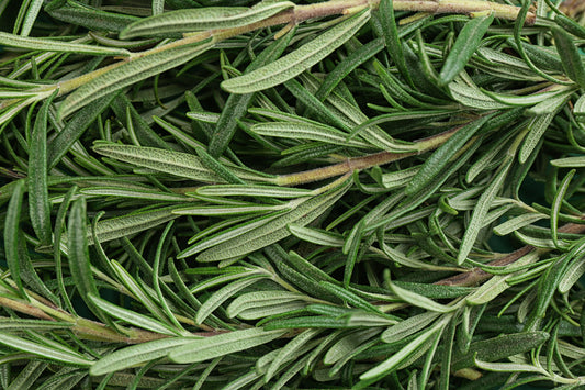 What's So Special About Rosemary?